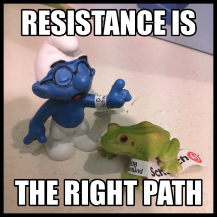 Resistance is the right path